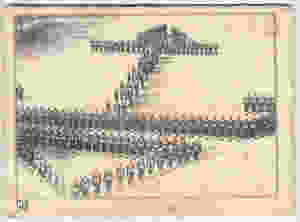 quaderni 1