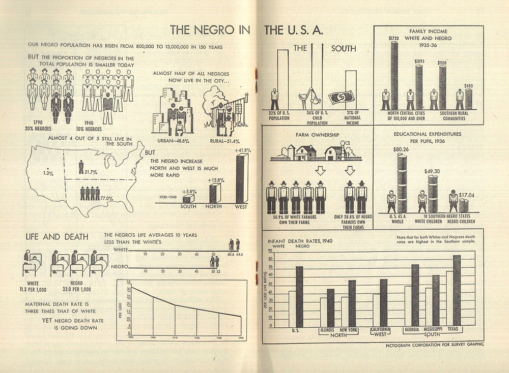 the negro in america