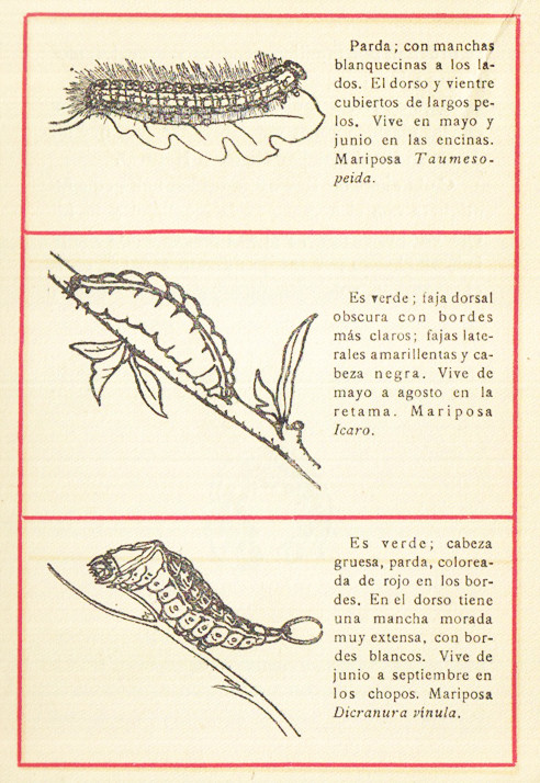spanish cover designs