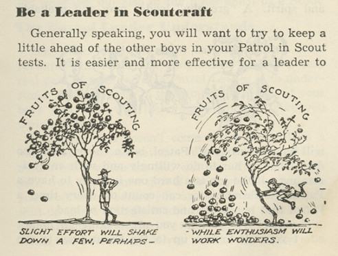 boy scouts 3