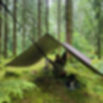 Child in a hammock under a tarp in a forest. Small dog sits nearby on mossy ground. Green and serene woodland setting.