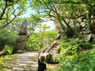 Child pointing at balancing rock in a lush forest path, surrounded by vibrant green trees and ferns under a clear blue sky.
