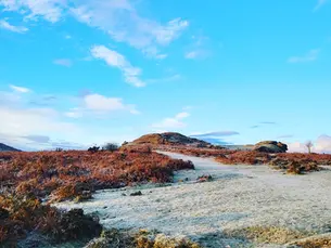 Frosty landscape with grassy path, orange-brown shrubs, and rocks under a vibrant blue sky. Peaceful and serene atmosphere.
