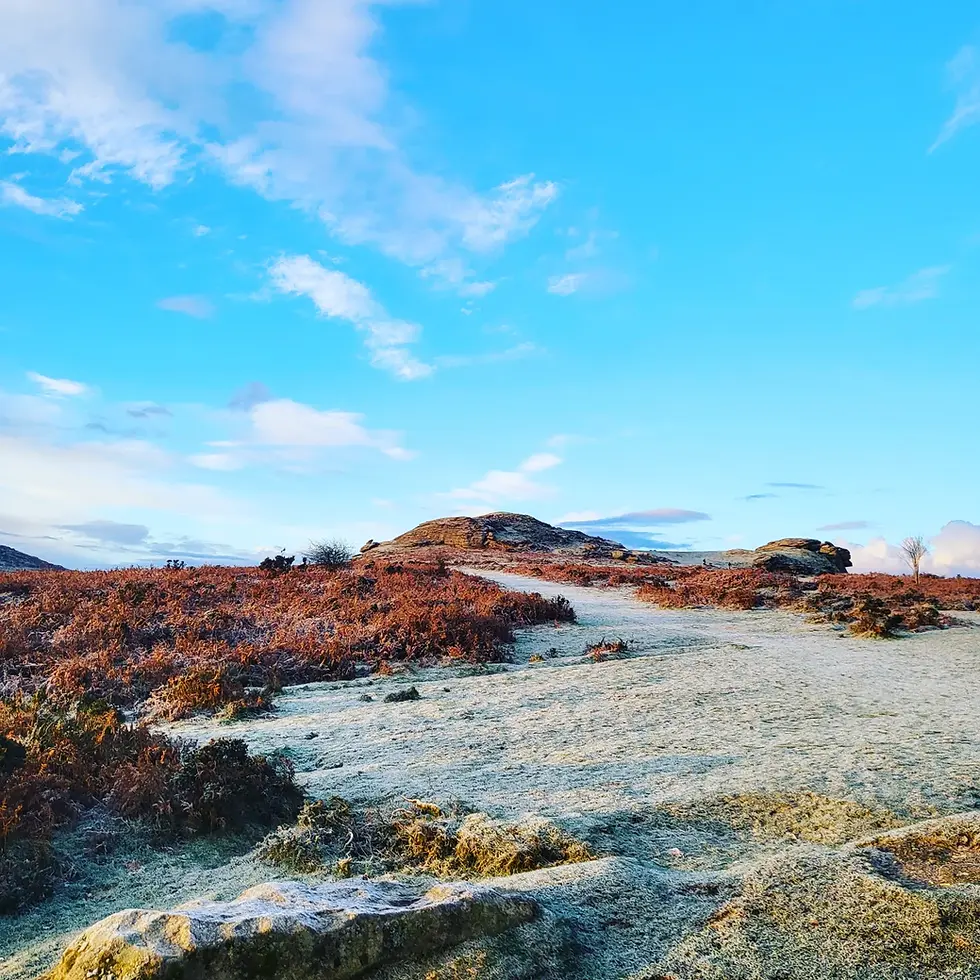 Frosty landscape with grassy path, orange-brown shrubs, and rocks under a vibrant blue sky. Peaceful and serene atmosphere.