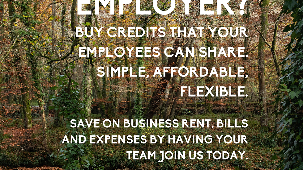 woodland with river and autumn leaves