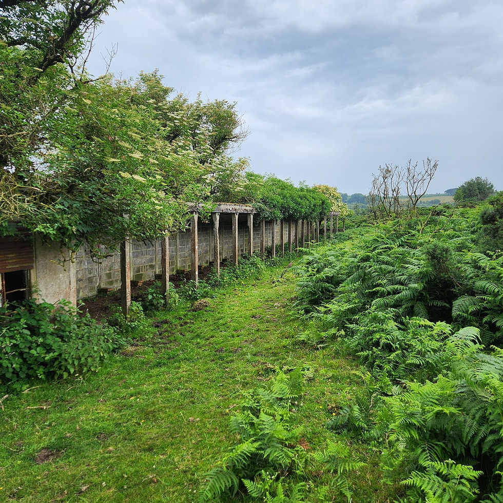 CoWalk | Rippon Tor Rifle Range