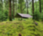 camping in woods on dartmoor