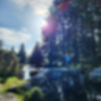 Child joyfully standing on a rock over a stream in a sunny forest. Tall trees, blue sky, lens flare. Peaceful and vibrant scene.