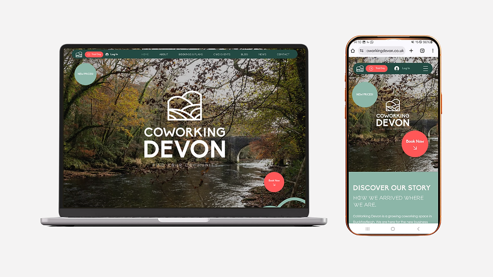 Stage 3: Digital Presence