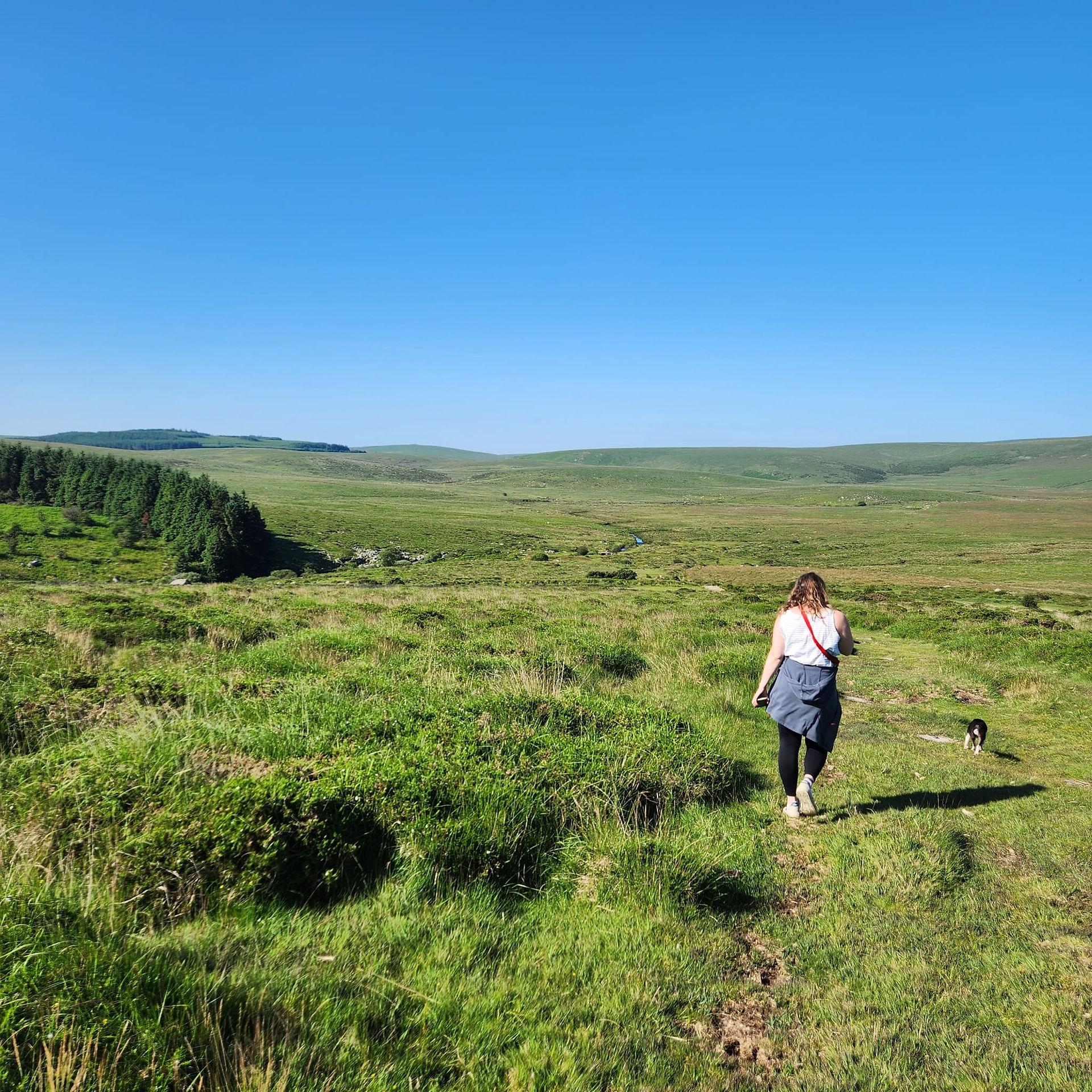 open moorland blue sky