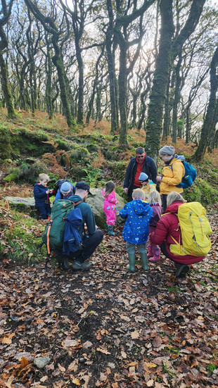 group of people searching woodlands