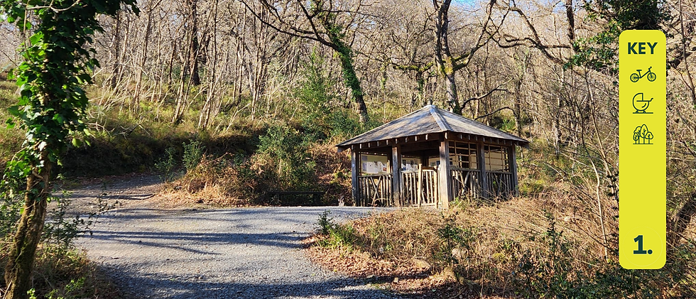 Forest scene with a wood gazebo under bare trees. Sunlit path leads to the structure. Green vines wrap a tree. Yellow key on side.