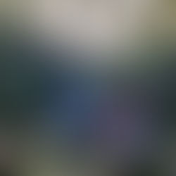 A group of adults and children hike uphill in a grassy, wooded area. They wear colourful jackets, and the mood is cheerful under a sunny sky.