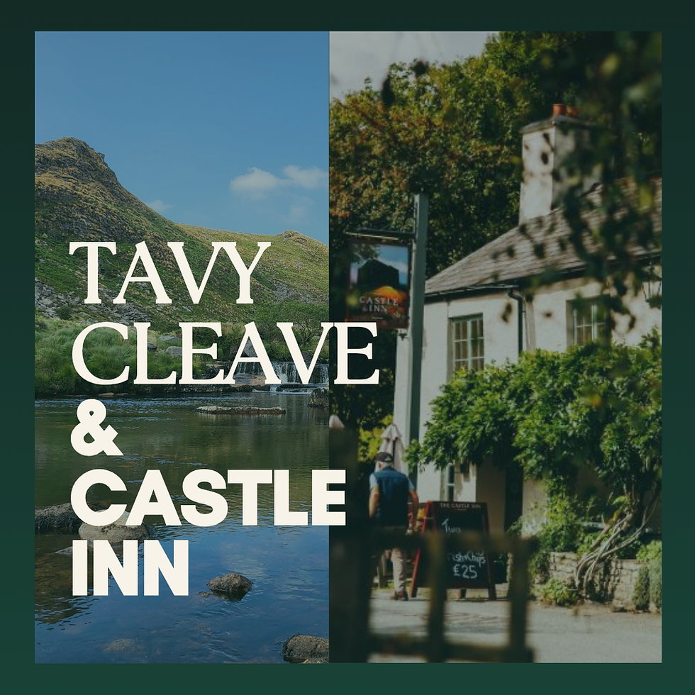 Tavy Cleave walk and the Castle Inn