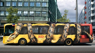 Disruptive Marketing: Challenging the Status Quo to Capture Attention
