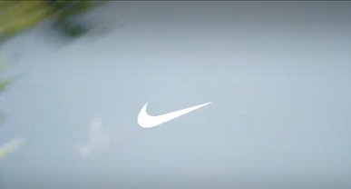 Screen Shot 2022-12-08 at 12.19.23 AM.png