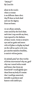 poem publication in eif exhibit / leta iris