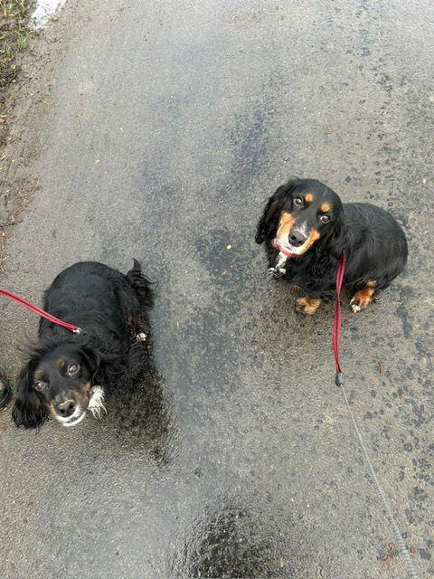 Mia and Maddie