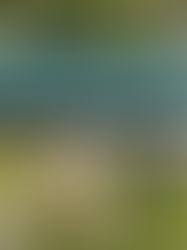 How Commercial Metal Roof Coatings in San Francisco Can Reduce Maintenance and Energy Use 