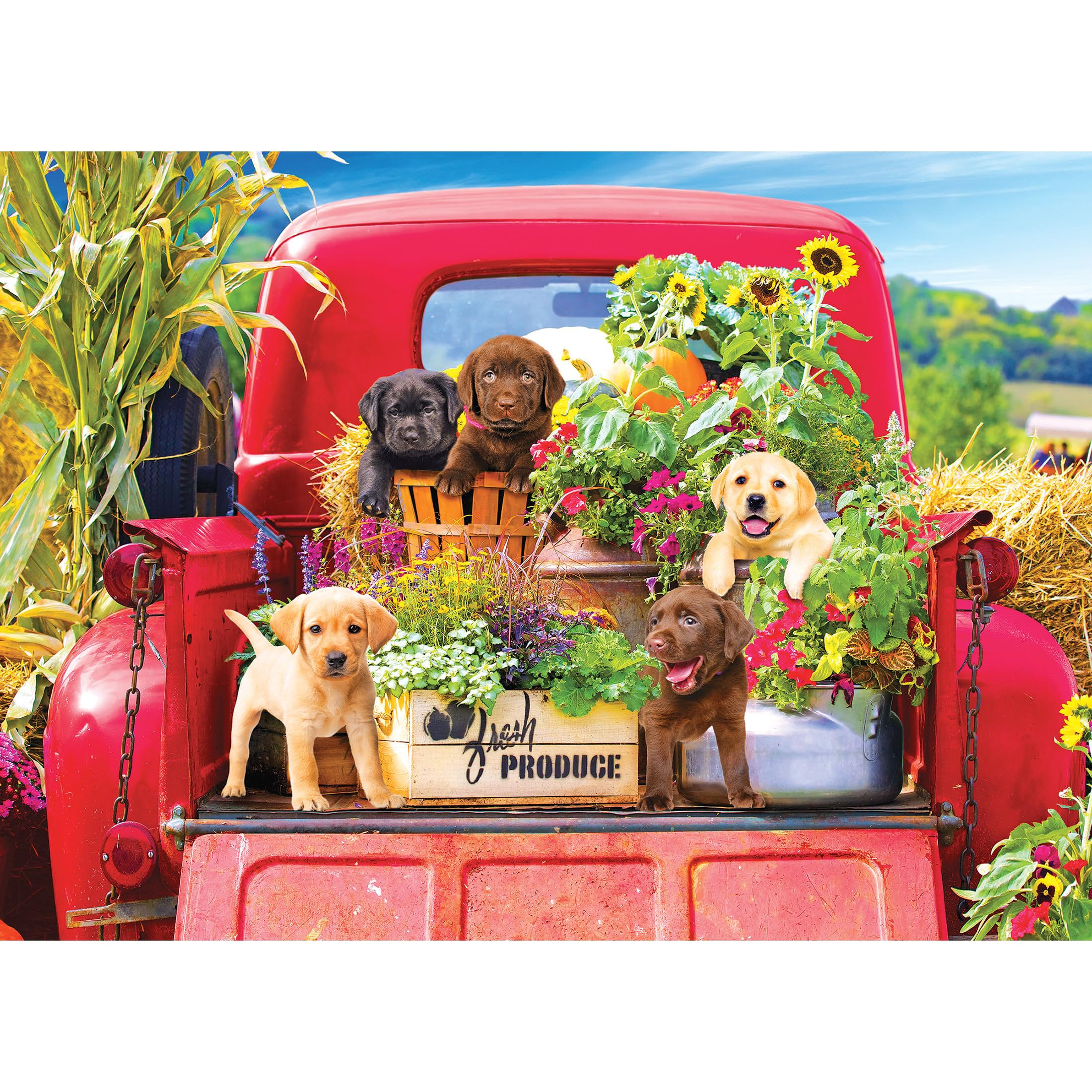 RoseArt - Kodak Premium - Stowaways - 1000 Piece Jigsaw Puzzle for Adults