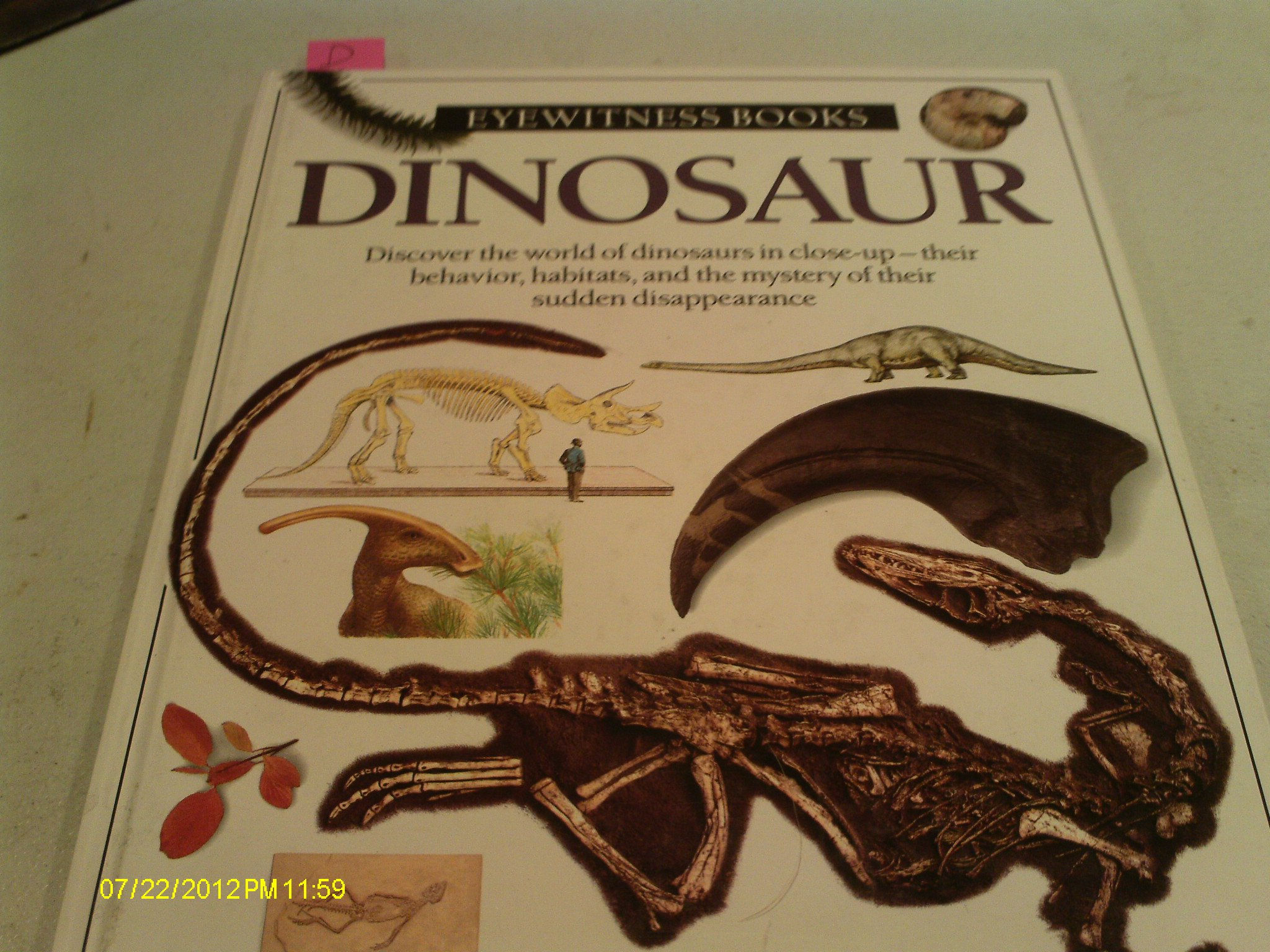 DINOSAUR (DK Eyewitness Books)