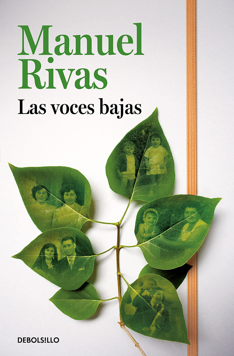 Thumbnail: Las voces bajas