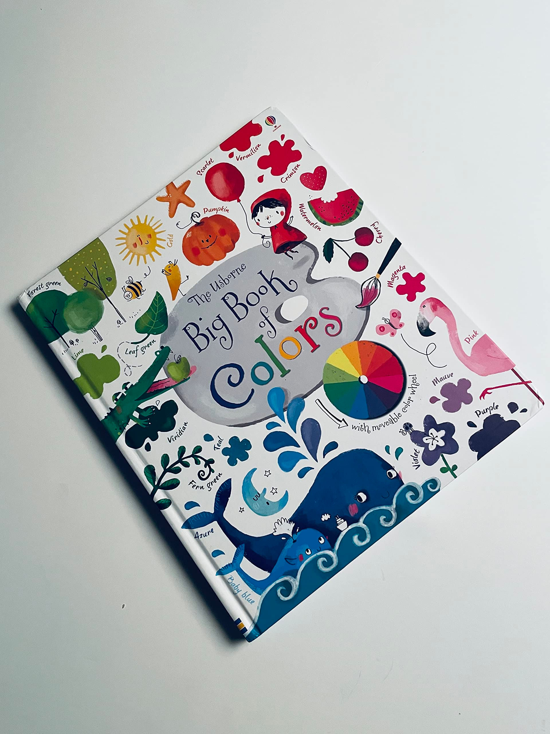 Usborne Books Big Book Of Colors