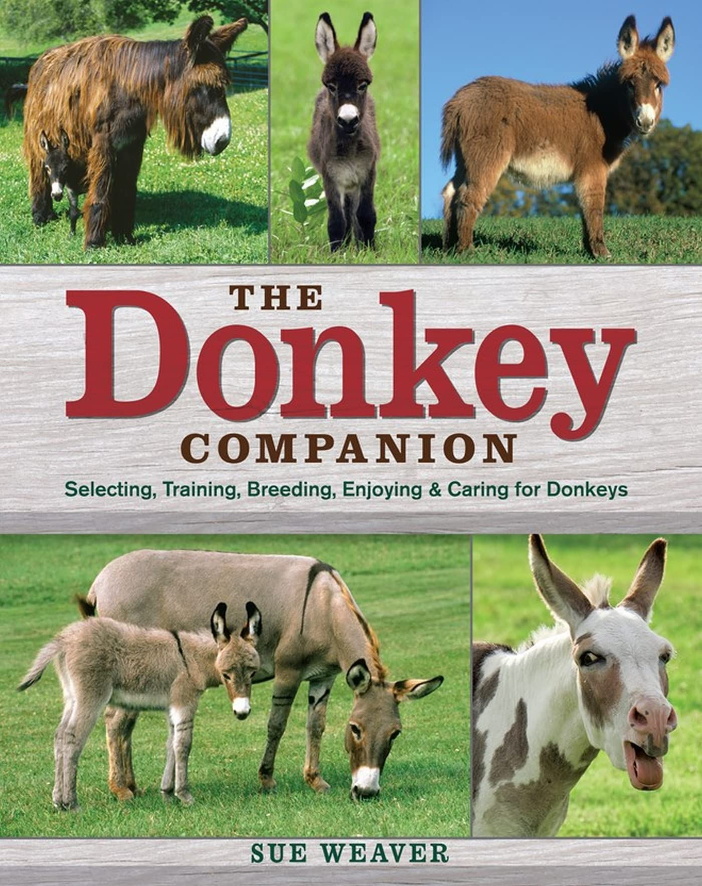 The Donkey Companion: Selecting, Training, Breeding, Enjoying & Caring for Donke