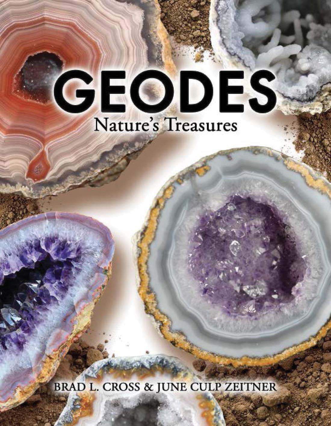 Geodes: Nature'S Treasures