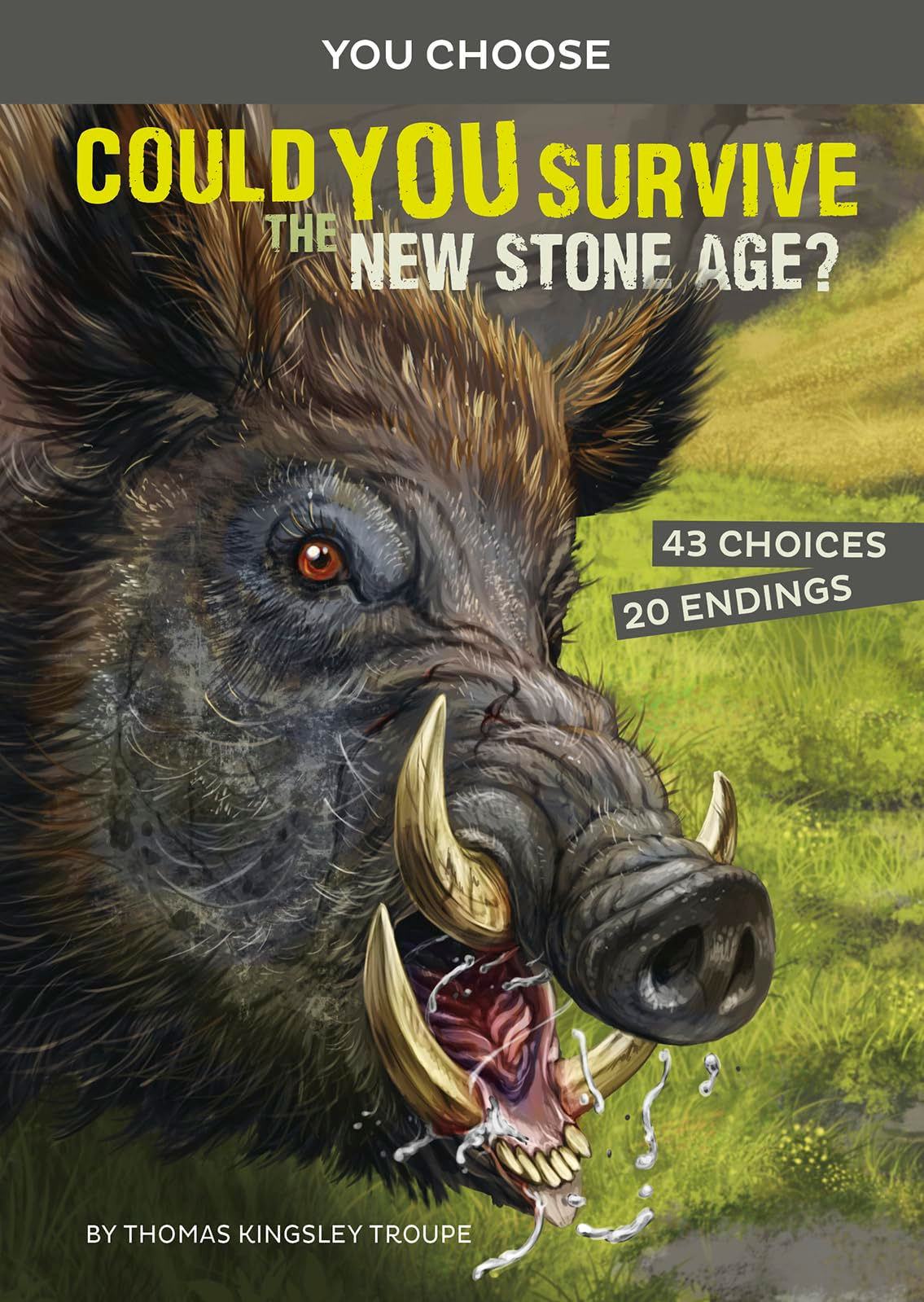 Could You Survive the New Stone Age?: An Interactive Prehistoric Adventure (You