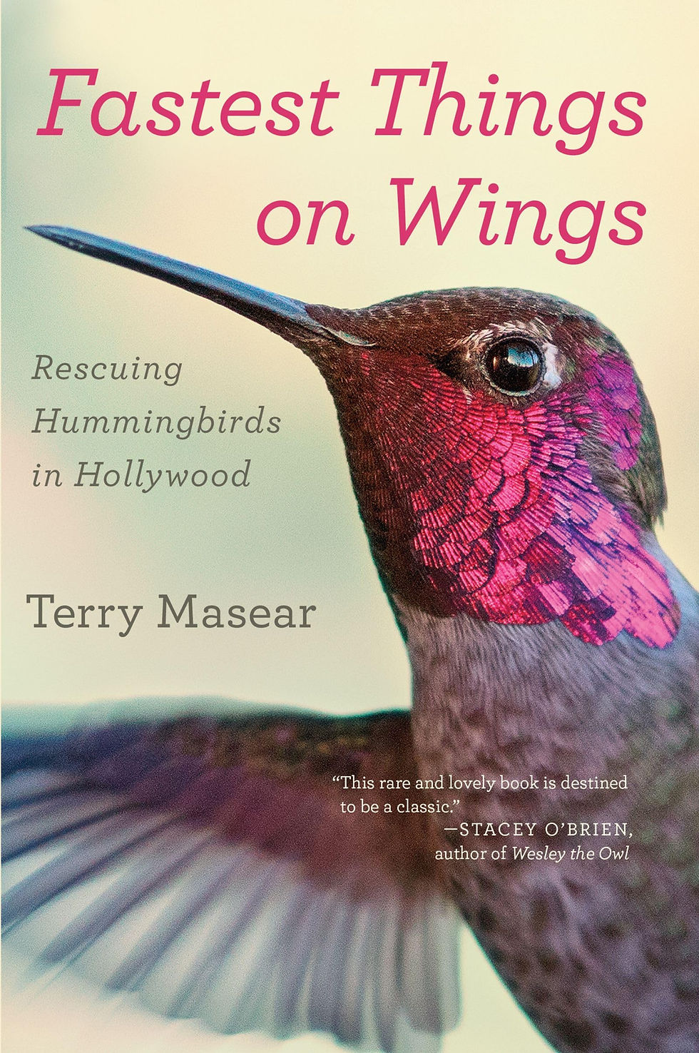 Thumbnail: Fastest Things on Wings: Rescuing Hummingbirds in Hollywood