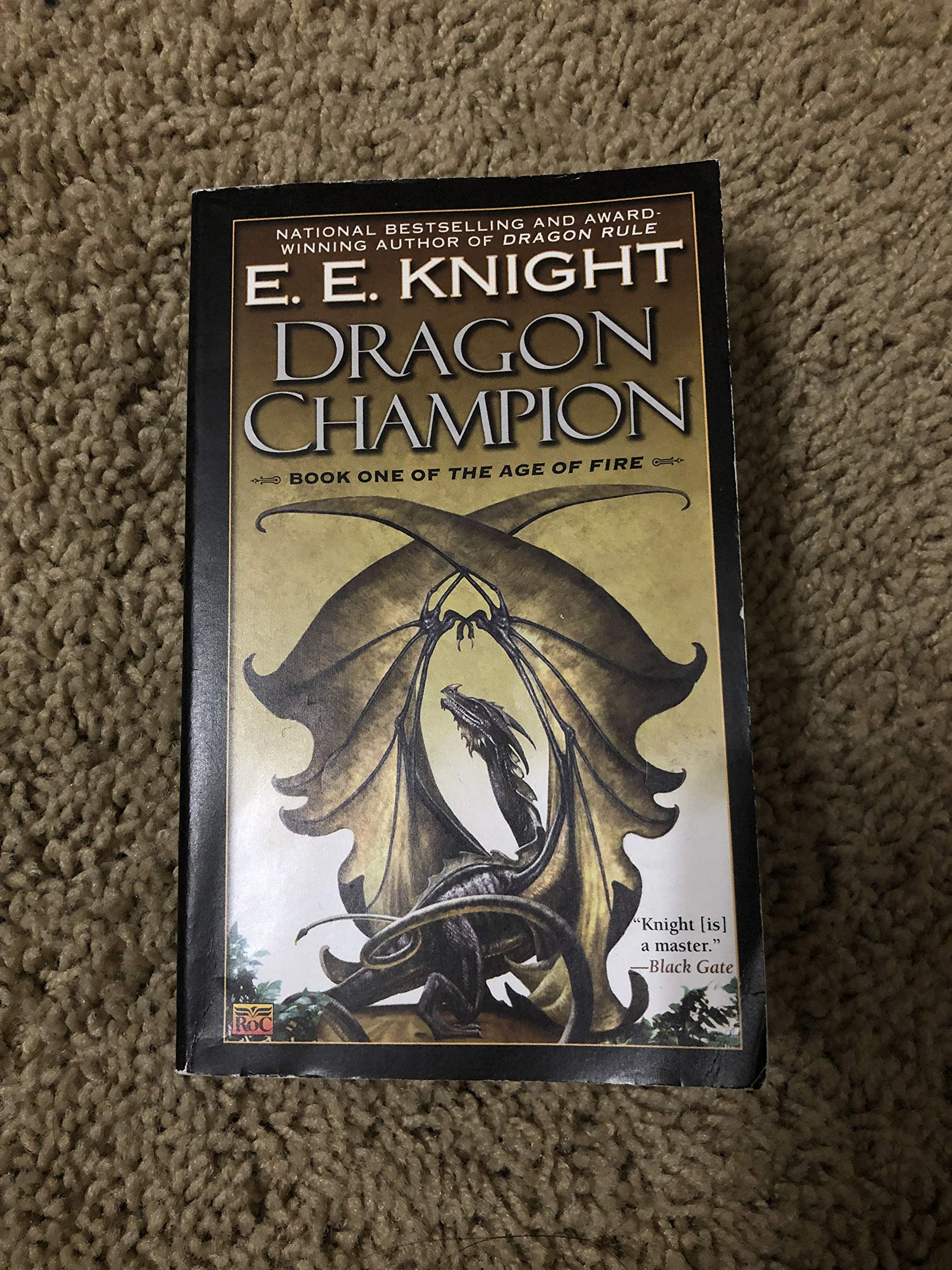 Dragon Champion