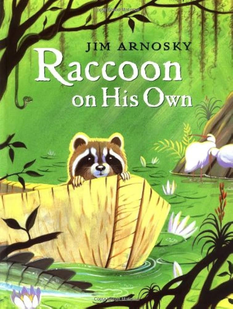 Raccoon On His Own