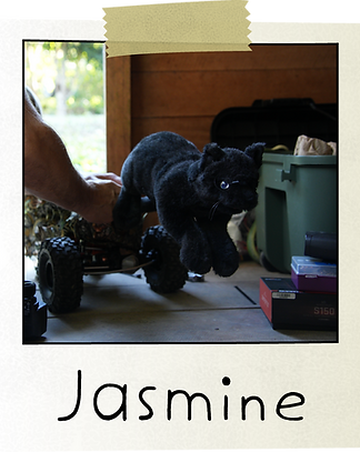 Polaroid_Jasmine.png