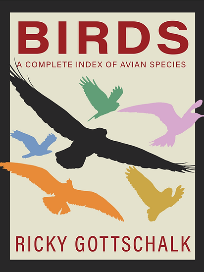 bookcover2 (1).png