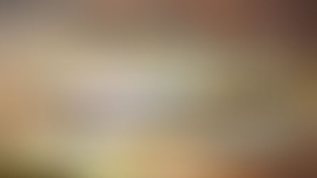 Persembahan Ucapan Syukur Kerana Dibebaskan