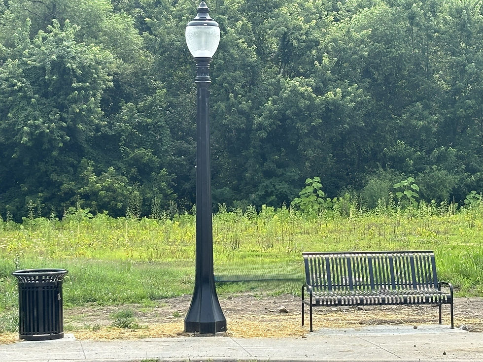 Eye-level view of a completed sidewalk beside a neighborhood street.
