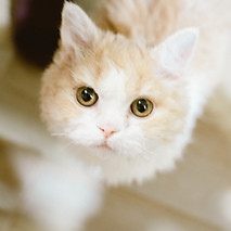 20220122-DSC00639.jpg
