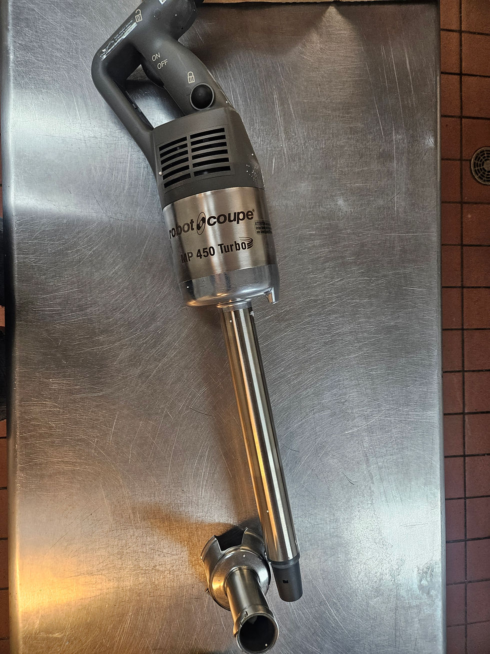 Immersion Blender