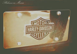 Motor Harley-Davidson