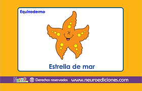 Captura de pantalla 2021-12-15 a la(s) 09.08.11.png