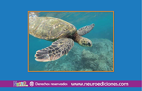 Captura de pantalla 2021-12-15 a la(s) 09.11.53.png