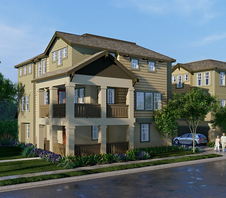 Auburn Grove_10ft_view_Scene B-at 10 feet.jpg