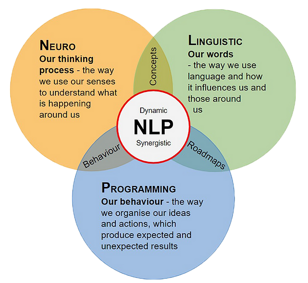 What is NLP Diagram (c) 2015 by Klaus Bockholt