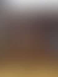 Item # 103, ANTIQUE CHINESE WINGED SERVER/SIDEBOARD