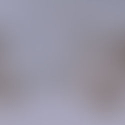 Item #138, LADIES BRILLIANT DIAMOND 14KT. WHITE GOLD CLUSTER PIERCED EARRINGS