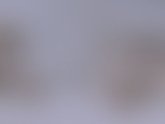 Item #138, LADIES BRILLIANT DIAMOND 14KT. WHITE GOLD CLUSTER PIERCED EARRINGS