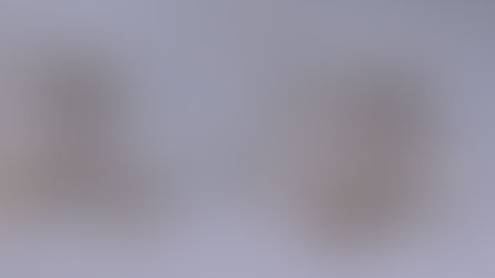 Item #138,  LADIES BRILLIANT DIAMOND    14KT. WHITE GOLD CLUSTER PIERCED EARRINGS