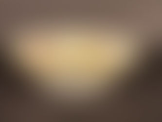 Item # 100 ,"RS PRUSSIA" GILDED AND SCALLOPED HAND PAINTED PORCELAIN BOWL: 