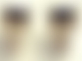 Item #122, 18KT. "CARTIER" YELLOW GOLD EARRINGS 925 SILVER & FACETED BLACK ONYX STONES